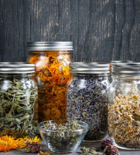 Various dried medicinal herbs and herbal teas in several glass jars on gray wood background